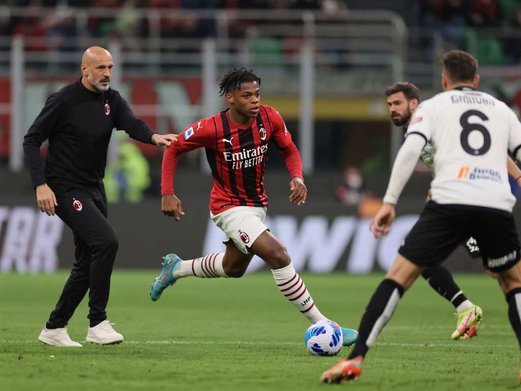 的观赛体验 的观赛体验